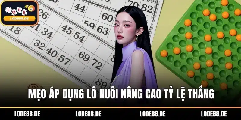Mẹo áp dụng lô nuôi nâng cao tỷ lệ thắng