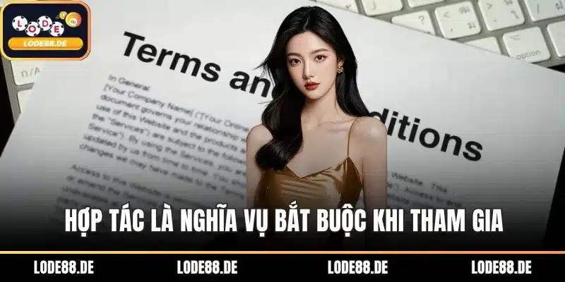 Hợp tác là nghĩa vụ bắt buộc khi tham gia